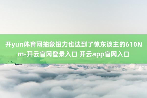 开yun体育网抽象扭力也达到了惊东谈主的610Nm-开云官网登录入口 开云app官网入口