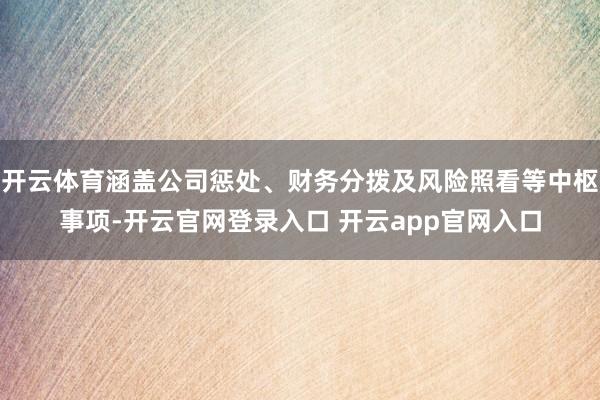 开云体育涵盖公司惩处、财务分拨及风险照看等中枢事项-开云官网登录入口 开云app官网入口