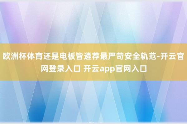 欧洲杯体育还是电板皆遴荐最严苛安全轨范-开云官网登录入口 开云app官网入口