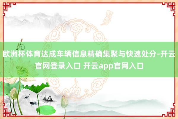 欧洲杯体育达成车辆信息精确集聚与快速处分-开云官网登录入口 开云app官网入口