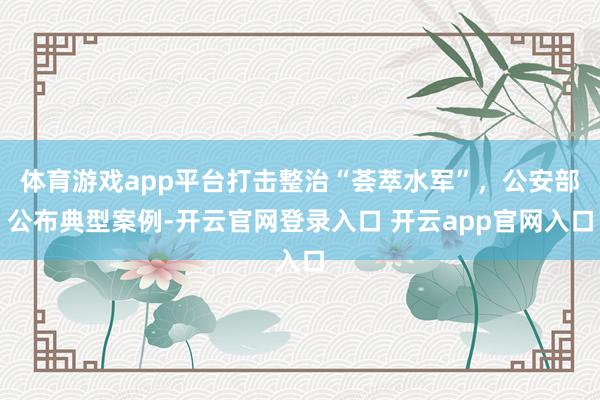 体育游戏app平台打击整治“荟萃水军”，公安部公布典型案例-开云官网登录入口 开云app官网入口